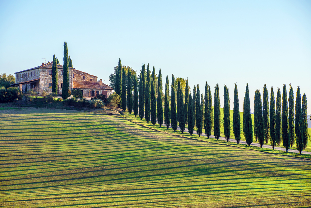 sfondo chi siamo TopItalianMortgage